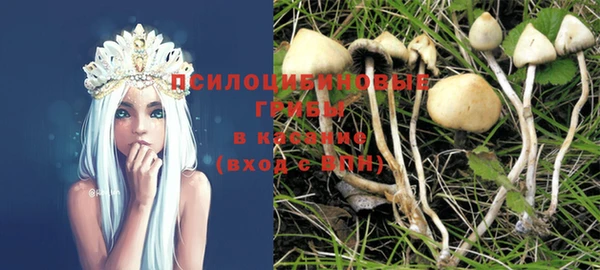 гашик Покров