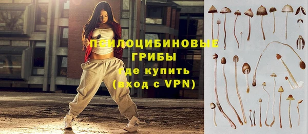 ALPHA PVP Покровск