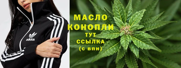 шишки Приозерск