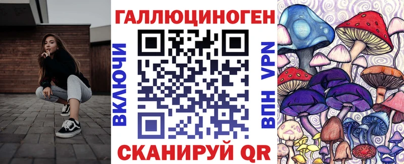 Купить где Каменногорск Псилоцибиновые грибы прущие грибы
